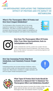  An infographic displaying the thermogenic effect of protein and its impact on metabolism