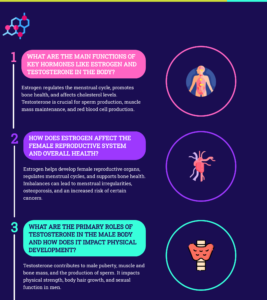 functions of key hormones like estrogen and testosterone, and how they affect the body.